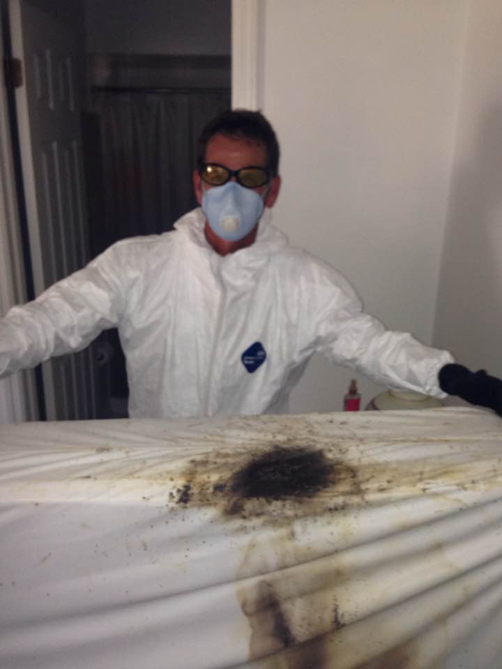 Bed Bugs Services